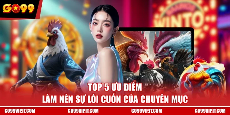 Top 5 ưu điểm làm nên sự lôi cuốn của chuyên mục